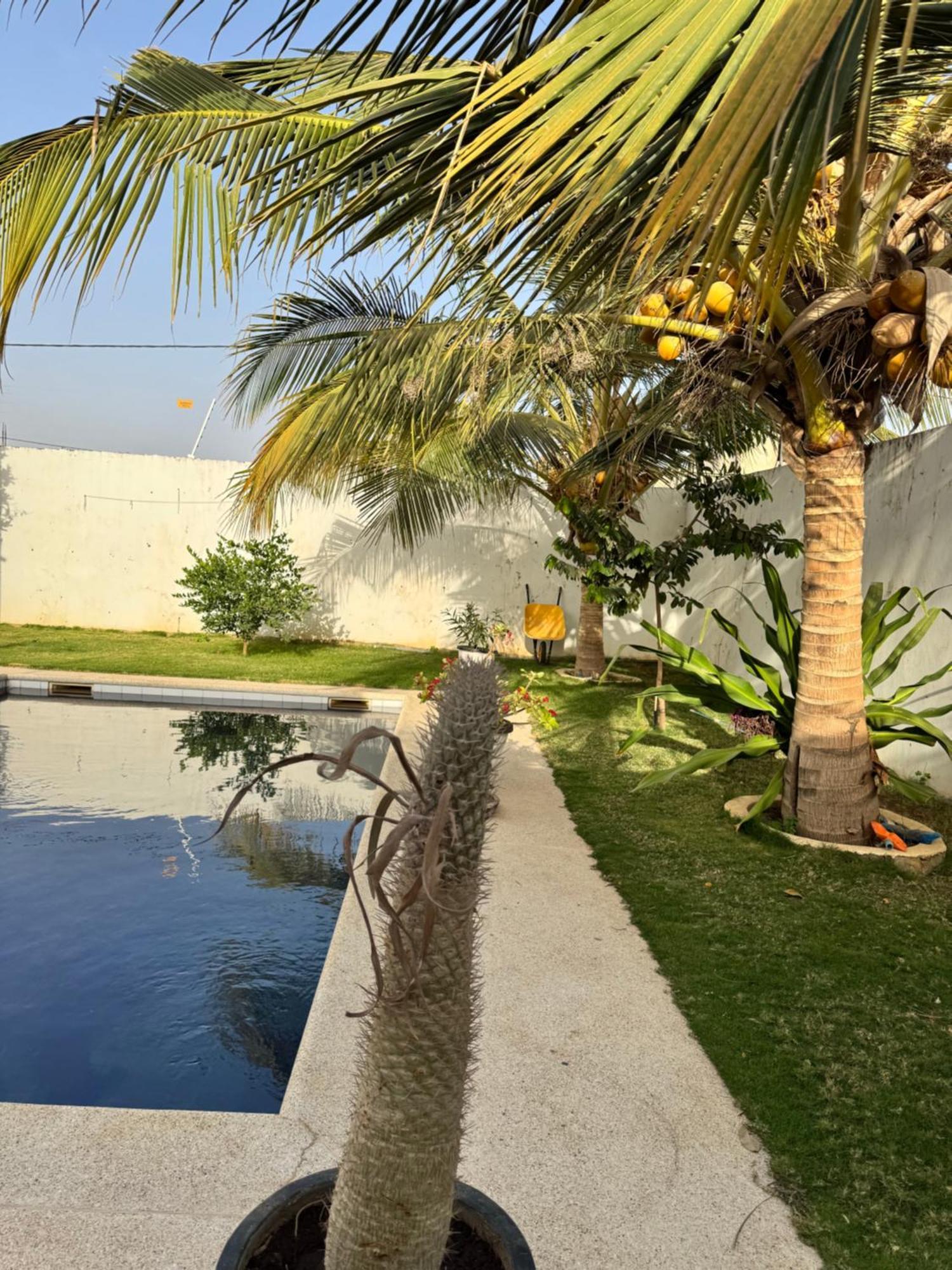 La Baraka, Extravagant Villa For 8 With Pool In Saly Gandigal 외부 사진